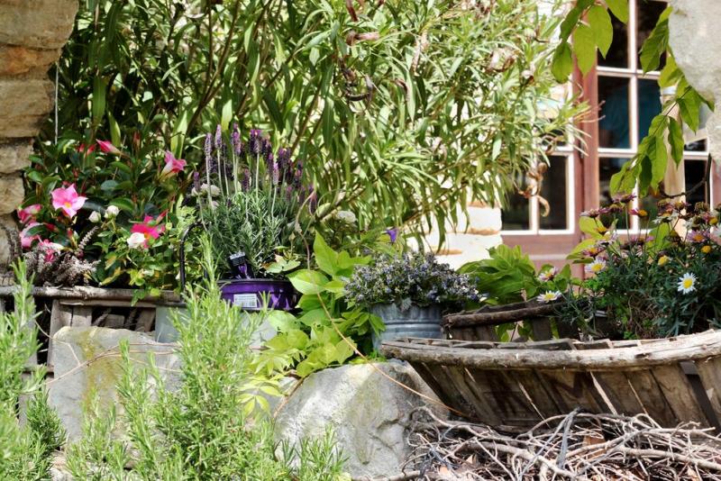 Adoptez des solutions v&eacute;g&eacute;tales innovantes pour un jardin durable